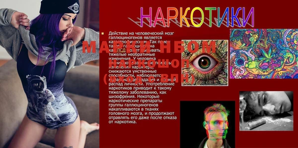 jwh Сатка