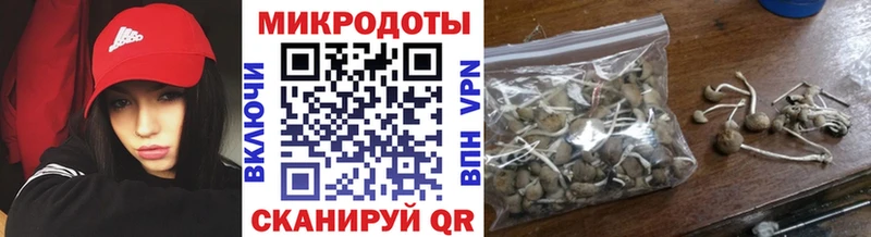 Галлюциногенные грибы Magic Shrooms  что такое наркотик  Екатеринбург 