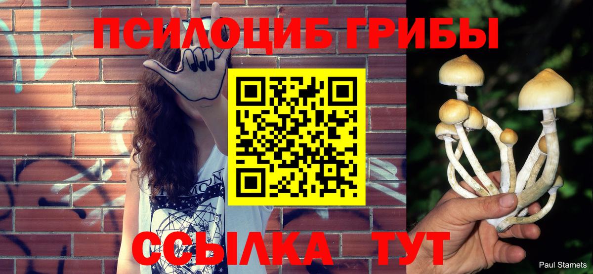 Галлюциногенные грибы Psilocybe  Екатеринбург 
